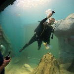 Michael at St. Louis Aquarium